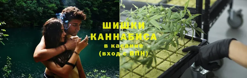 как найти наркотики  Кадников  Марихуана Amnesia 